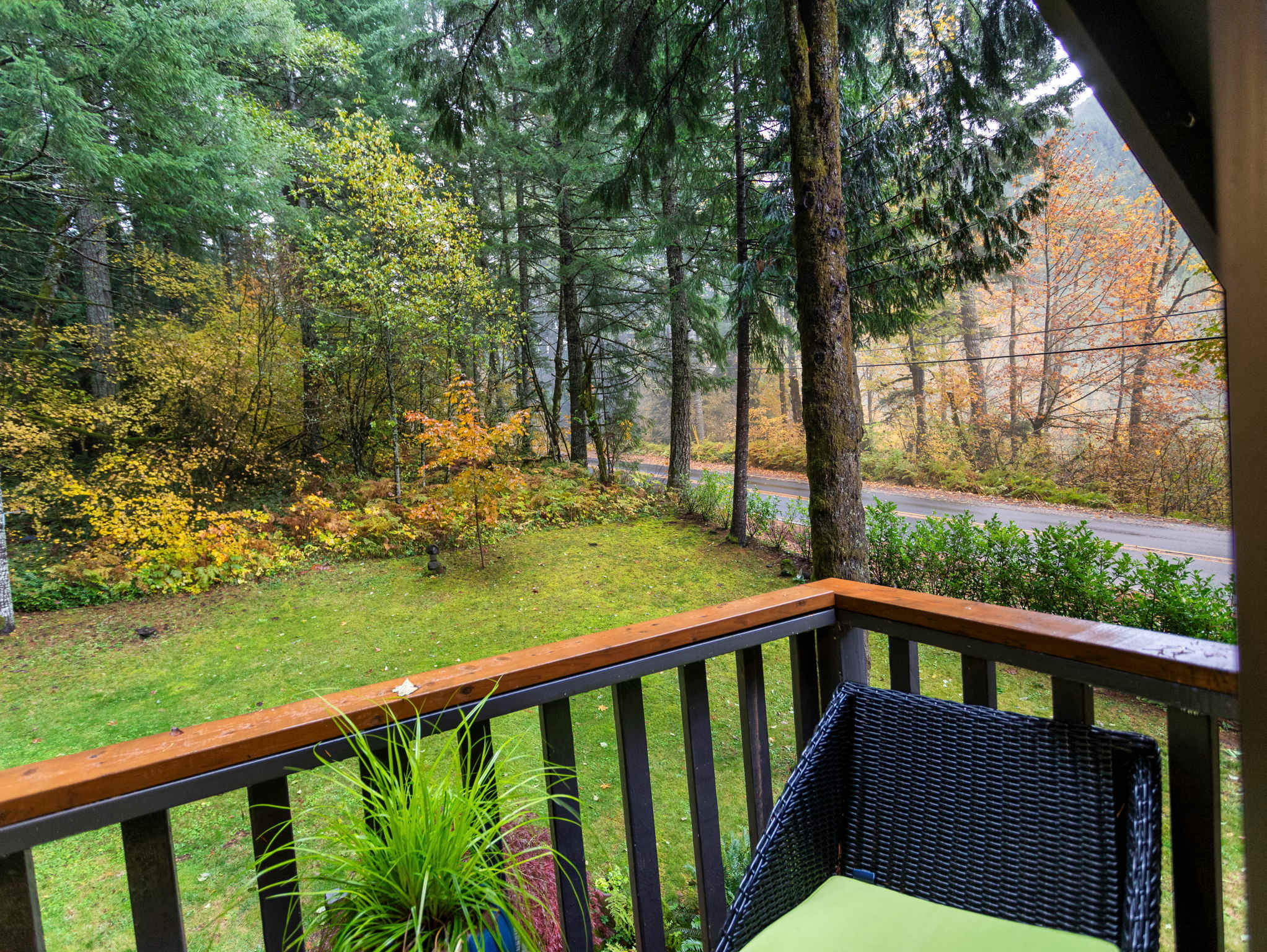 Expansive view from a wooden balcony showcasing a dense forest with a mix of evergreen and deciduous trees displaying autumn colors, with a paved road winding through the landscape.