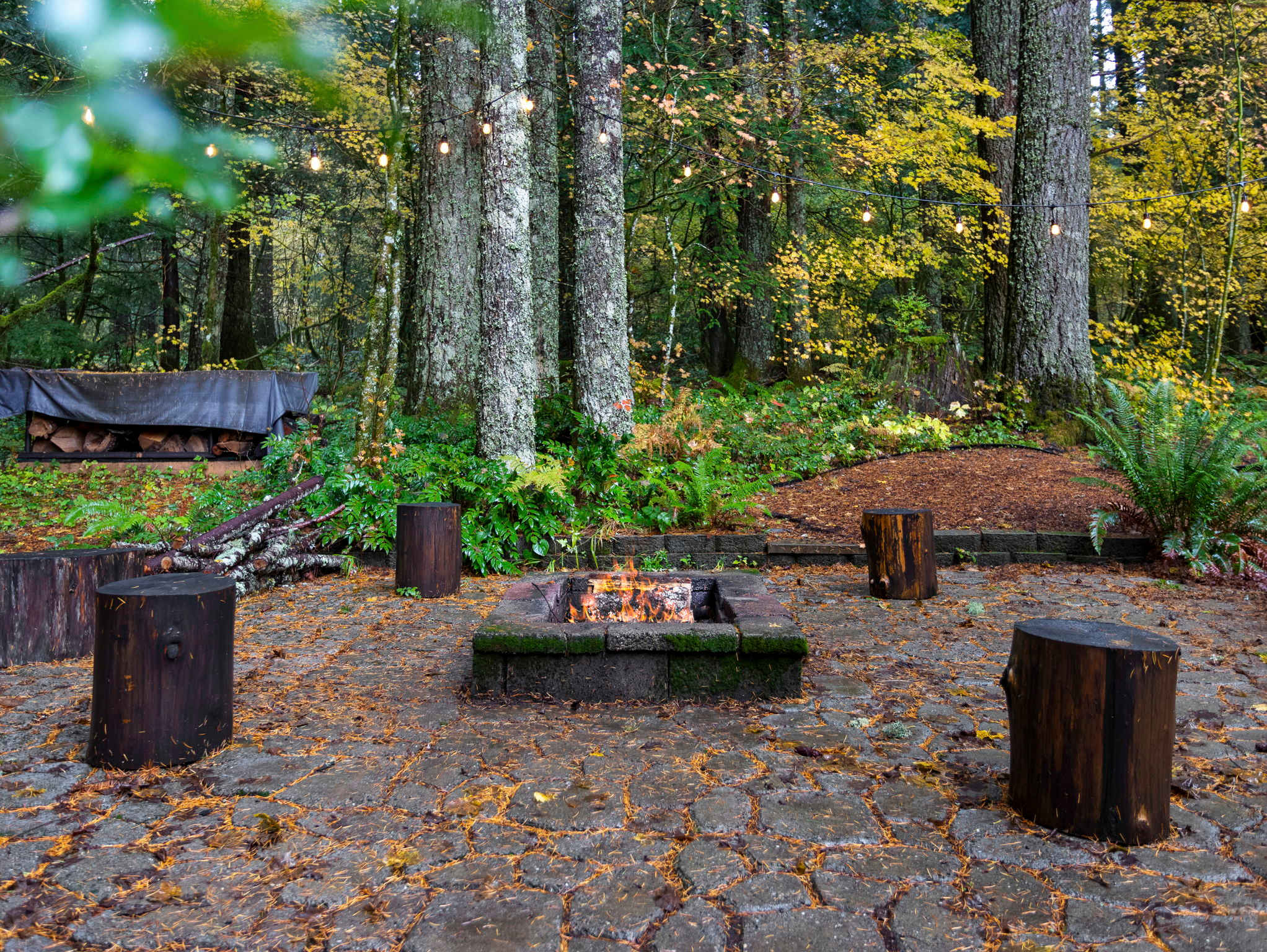 A square stone fire pit with a burning fire is surrounded by tree stump seating on a flagstone patio. A covered pile of firewood is visible in the background, all set within a dense forest of tall trees.