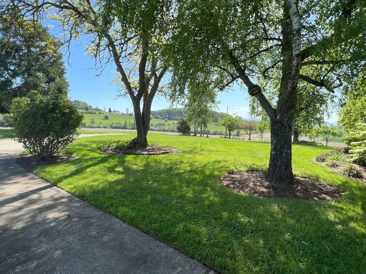 Manicured green lawn with mature trees providing shade, bordered by a paved driveway or path. Rolling hills and distant fields are visible under a bright blue sky, suggesting a scenic rural setting.