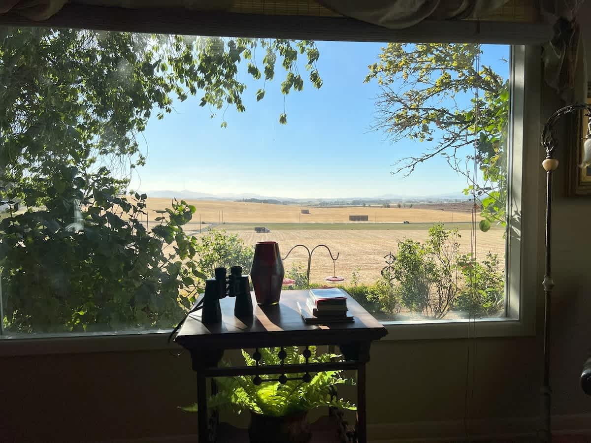 Panoramic view from a large living room window showcasing vast agricultural fields under a clear sky, with binoculars and a small vase on a wooden side table.