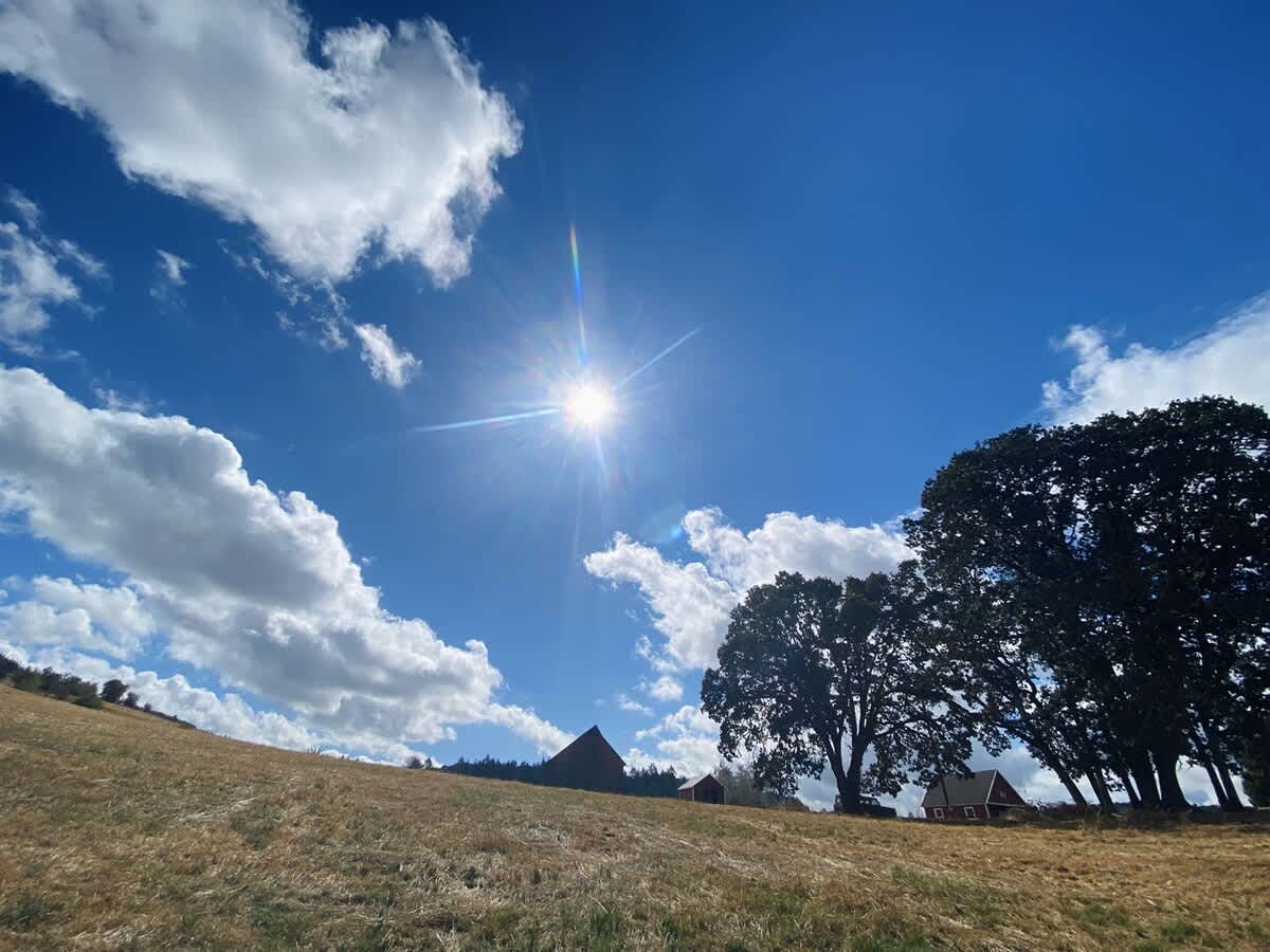 A bright sun with a prominent flare shines in a clear blue sky with white clouds, overlooking a golden grassy hill with a red barn and other farm buildings visible in the distance.