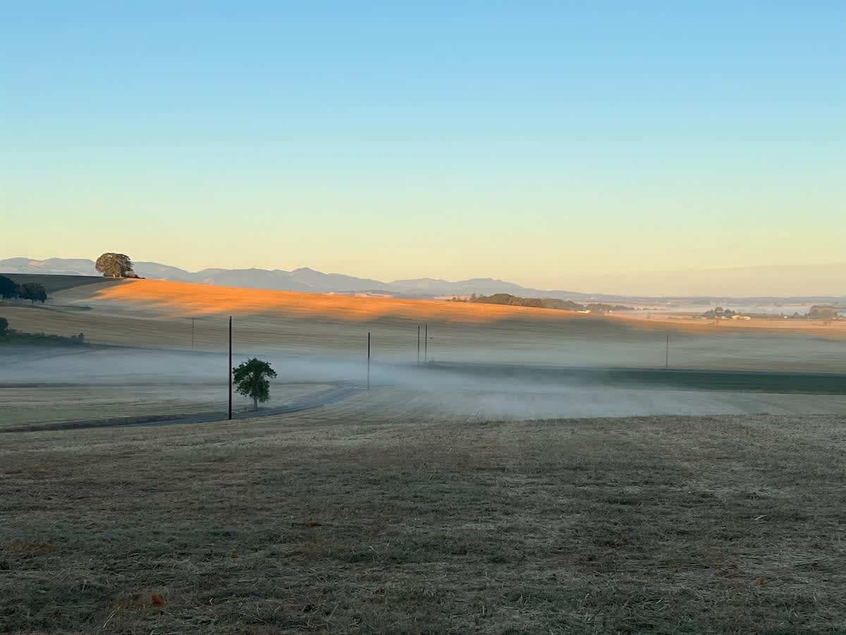 Golden morning light illuminates rolling agricultural hills, with wisps of fog settled in the valleys, creating a serene rural landscape under a clear blue sky.