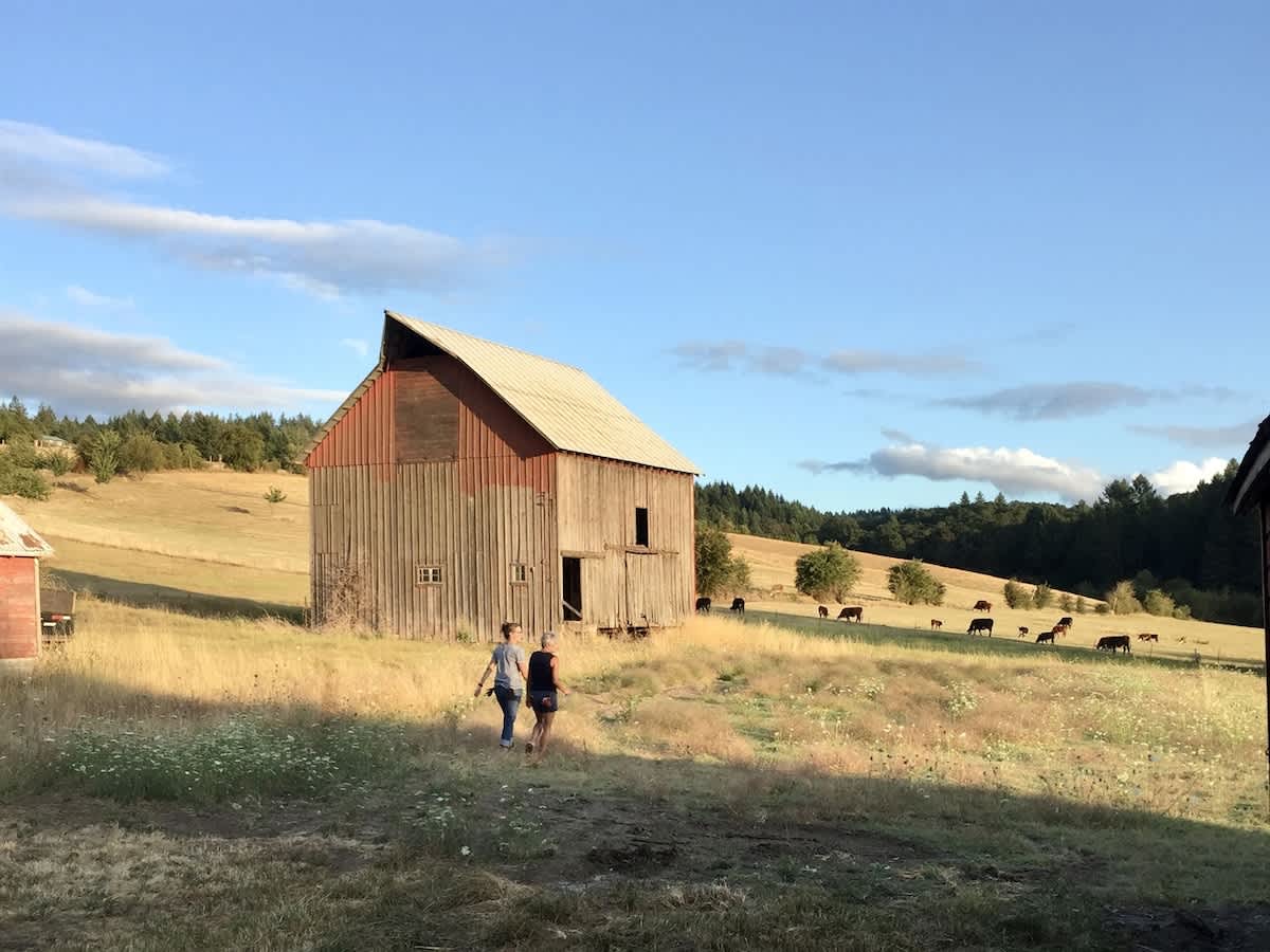 A rustic wooden barn with a red roof stands in a sun-drenched grassy field, where two people walk towards the viewer and cattle graze on a distant hill under a blue sky with scattered clouds.