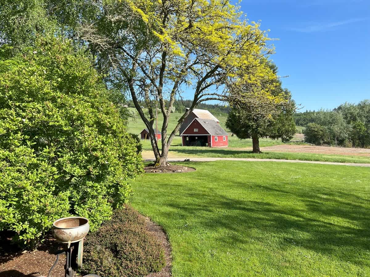 Lush green lawn and well-maintained shrubs in the foreground, framing a view of a red barn with a grey roof in the distance. A large tree with bright green foliage stands prominently in the midground, under a clear blue sky.