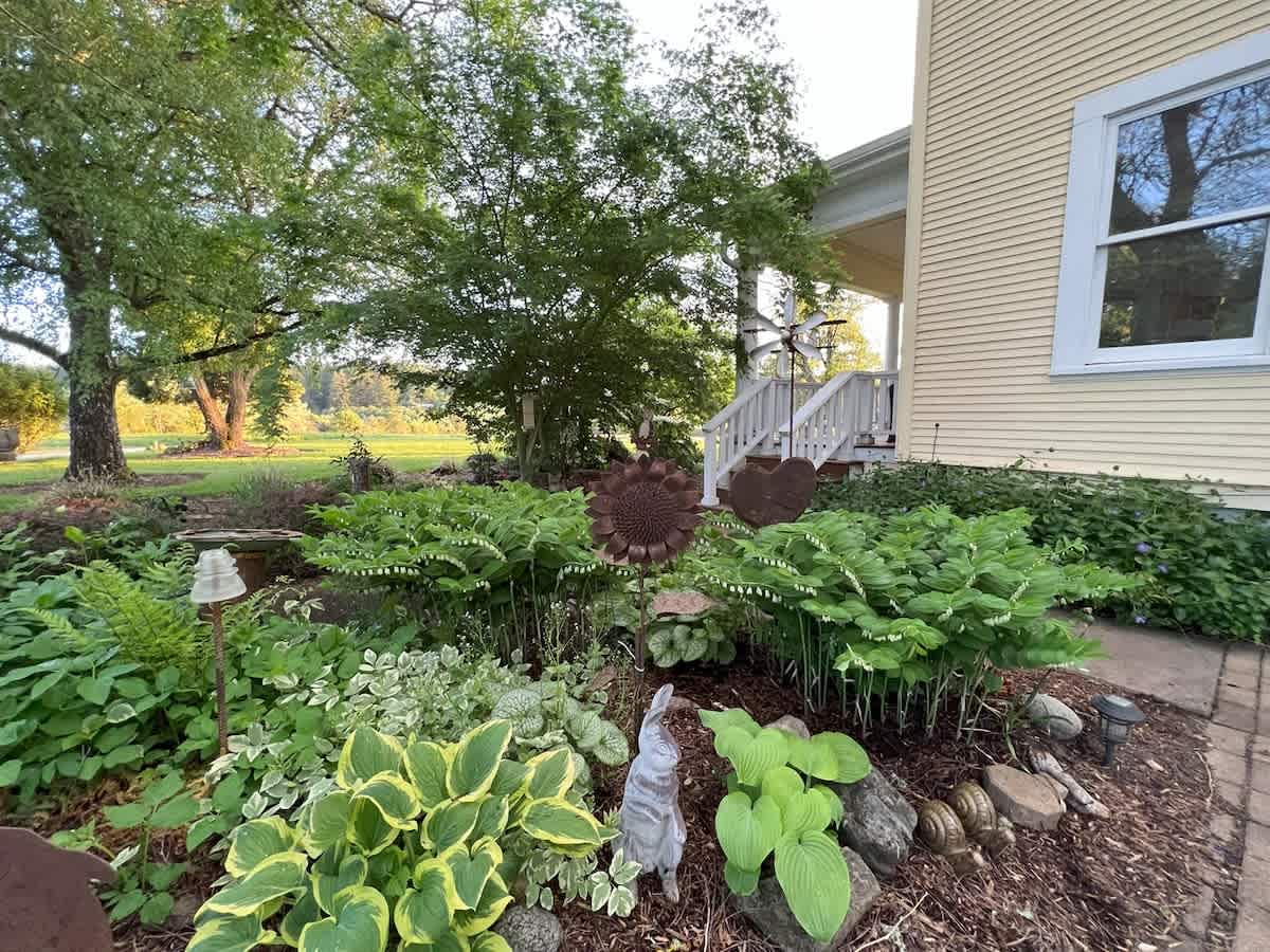 A meticulously maintained garden bed flourishes with various hostas, ferns, and other greenery, adorned with charming garden ornaments like a metal sunflower, adjacent to the house and porch steps.