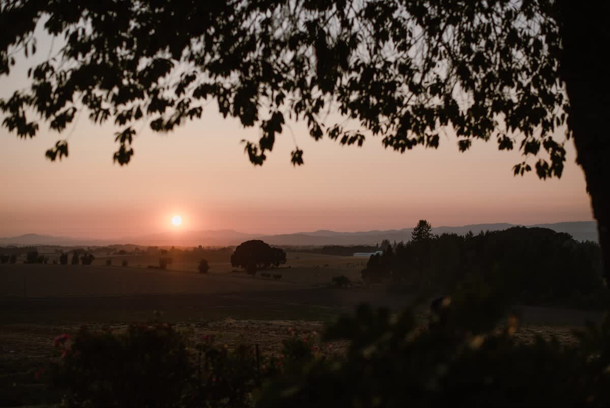 A vibrant orange and pink sunset casts a warm glow over a distant valley and rolling hills, framed by the dark silhouettes of tree leaves in the foreground.