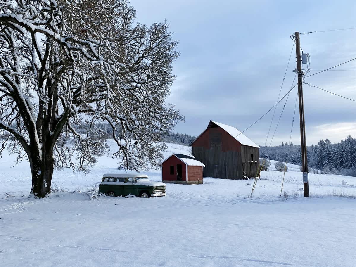 A snow-covered landscape features a rustic wooden barn, a small red shed, and a vintage green vehicle parked under a large, bare, snow-dusted tree, all under a cloudy winter sky.