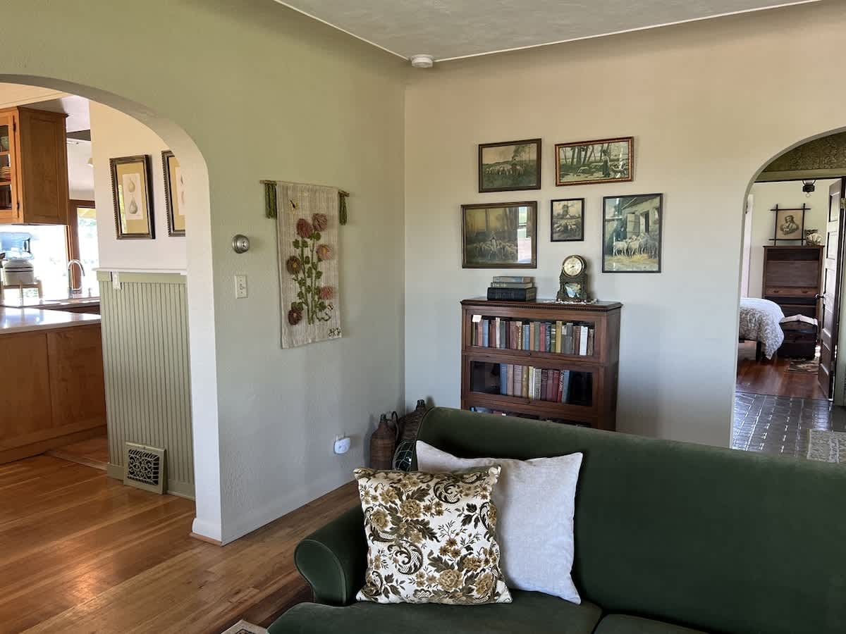 Warm living room with a green velvet sofa adorned with decorative pillows, a wooden bookshelf filled with books, and framed artwork on the wall, leading to an arched entryway.