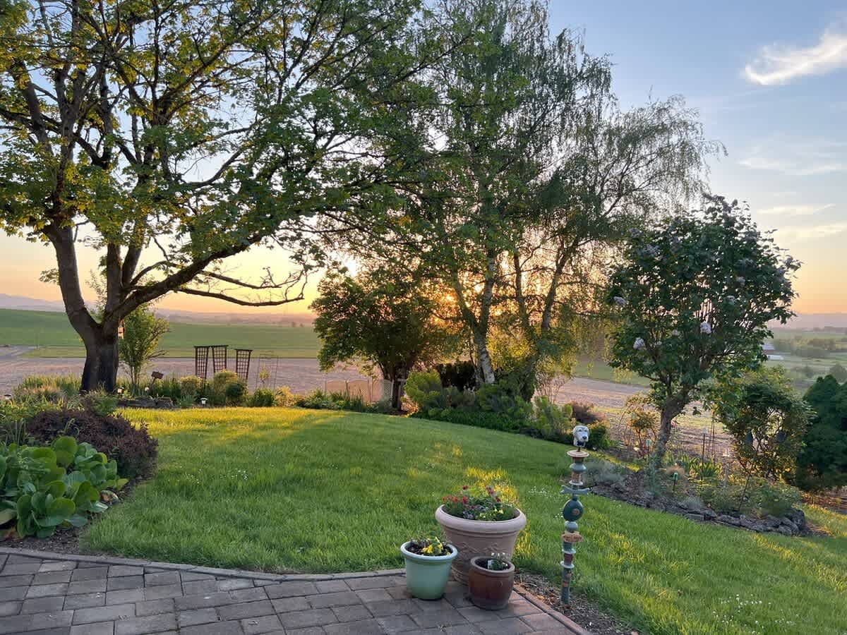 Inviting outdoor patio with brick pavers and potted plants, offering a serene view of the sunset over distant rolling hills and fields. Mature trees frame the golden light, creating a peaceful evening ambiance.