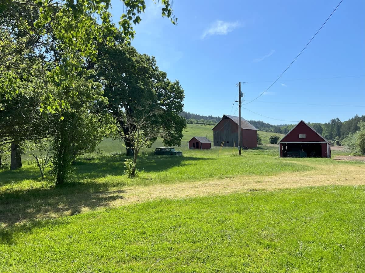 Expansive green field with a mowed path leading towards two red barns and a smaller shed under a bright blue sky. An old car is parked near the trees on the left, adding to the rustic farm aesthetic.