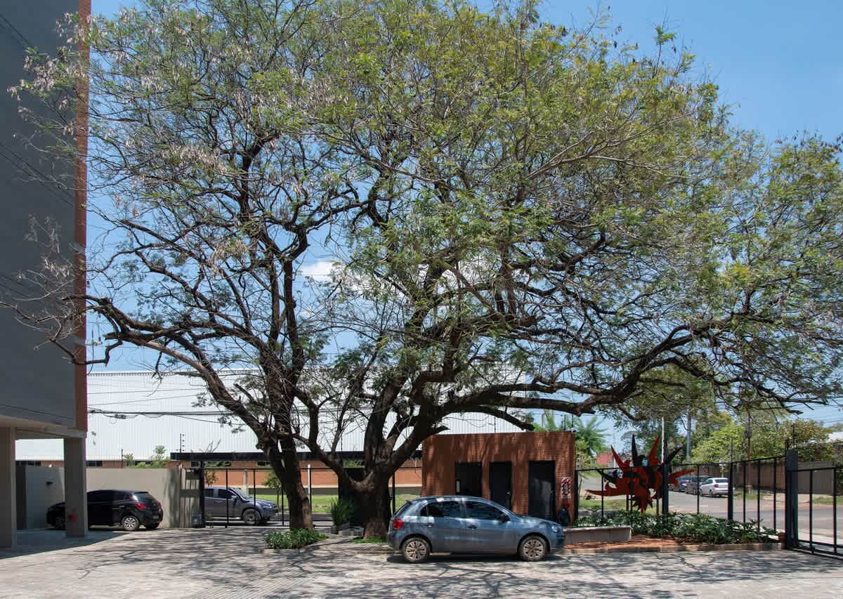 fb5525a5 d39c 49 dQdl