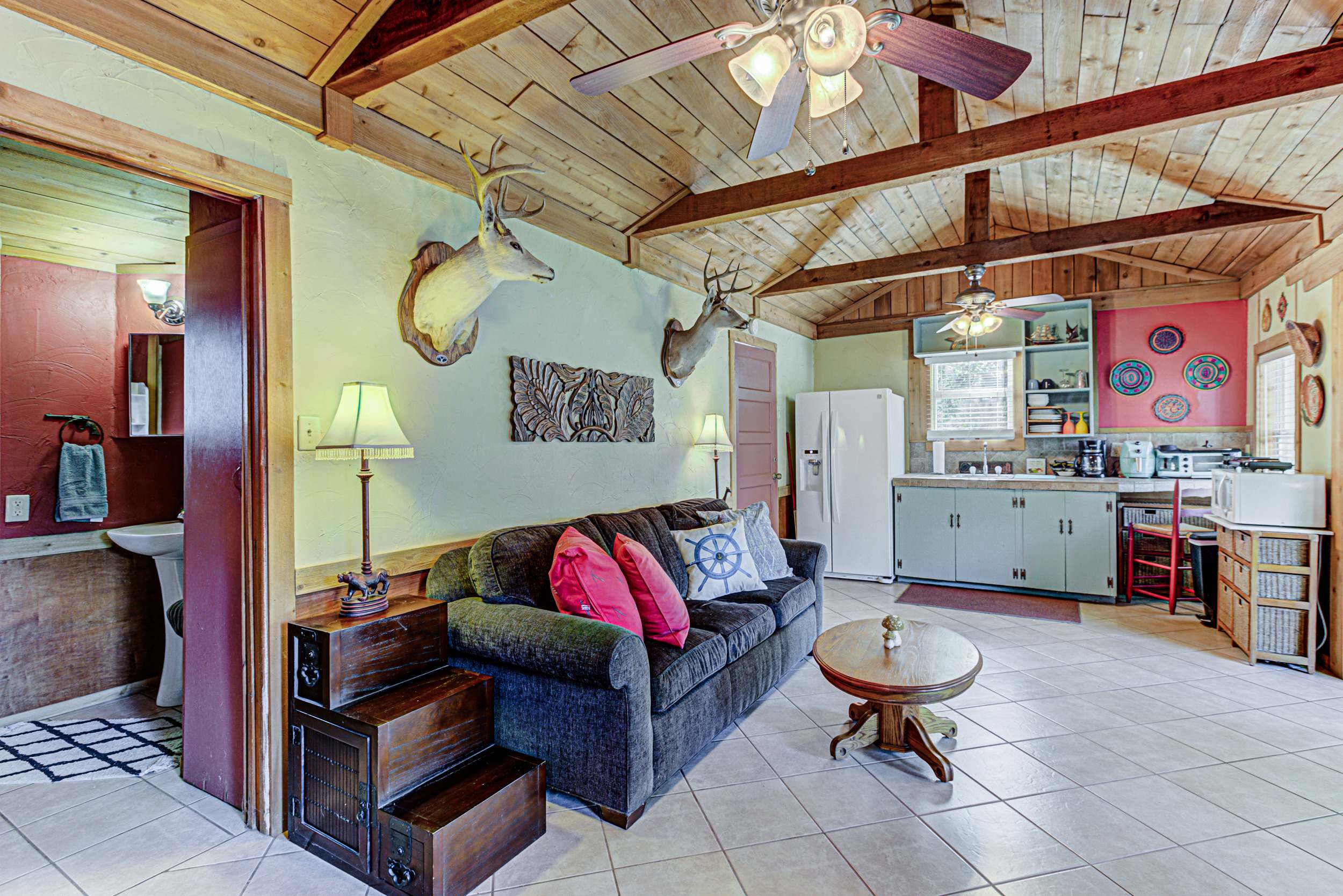 Curl up in the living room & stream all your favorite entertainment