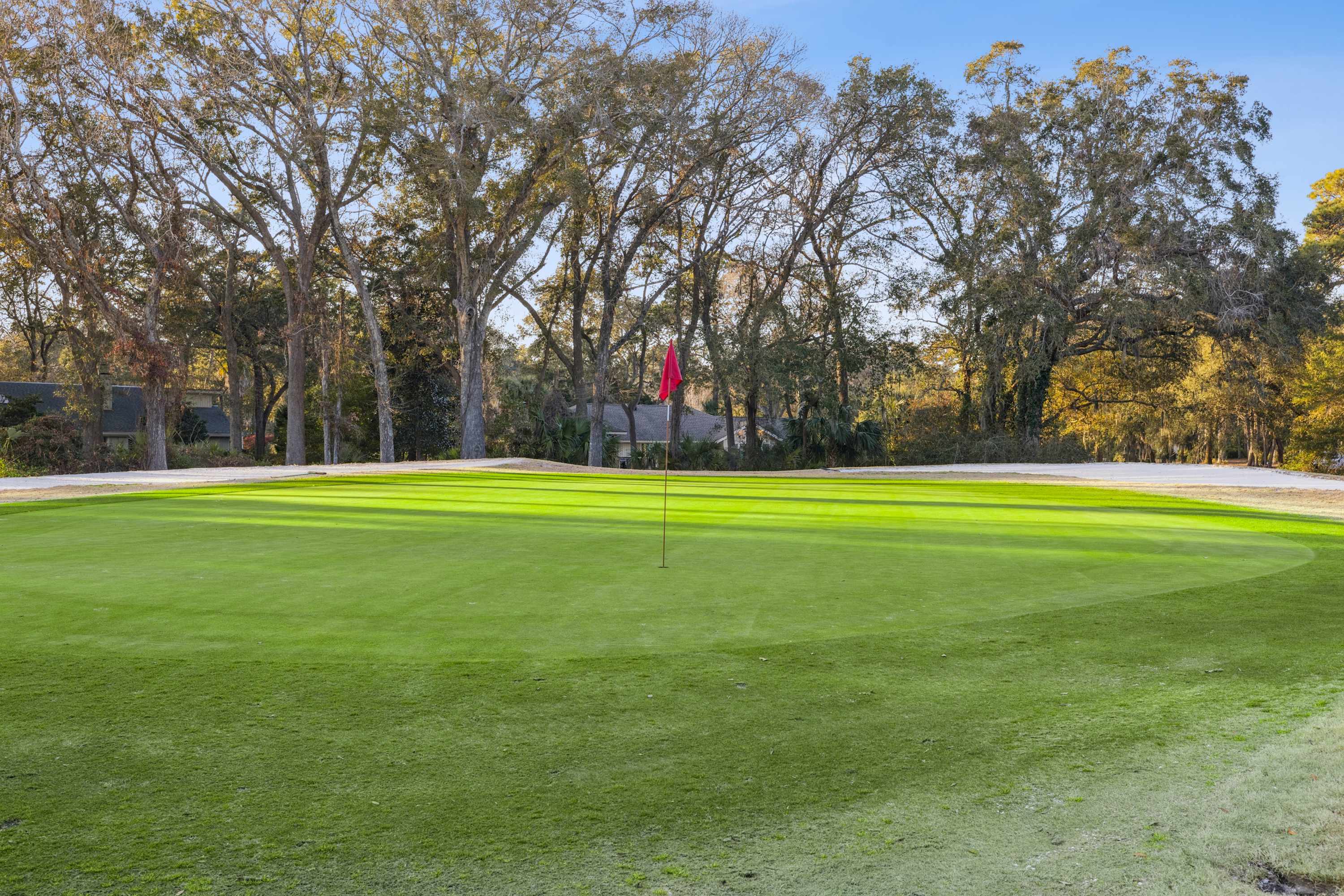 Putt around on the golf course 