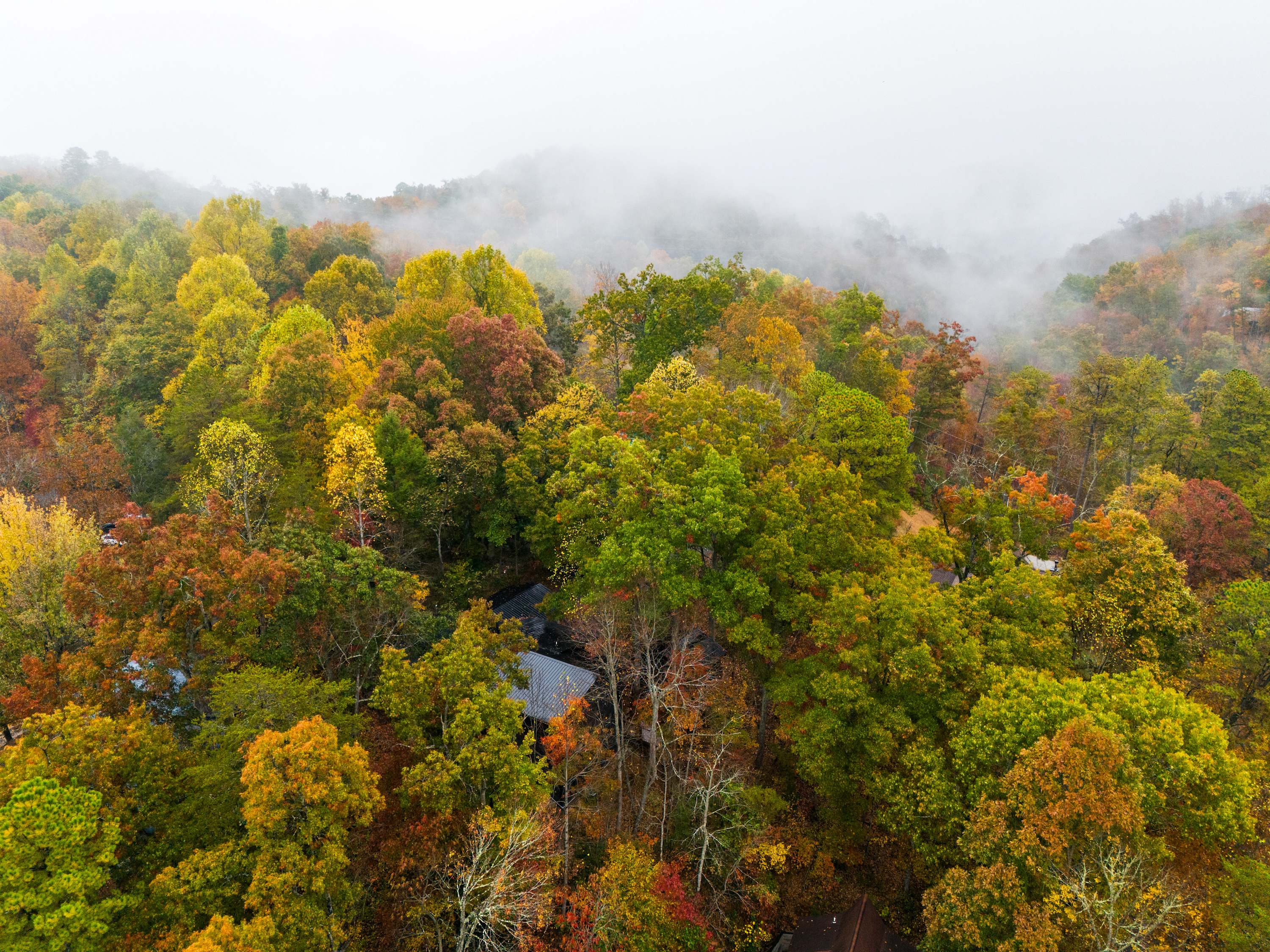 Modern Cabin with Hot Tub & Foliage Views! 2
