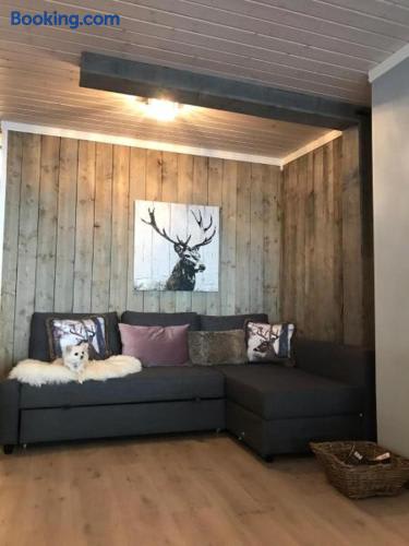Kvamseter Mountain - 101 Family Studio 3
