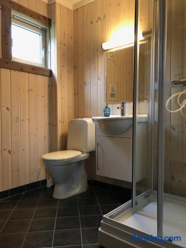 Kvamseter Mountain Suite - 1BR 4