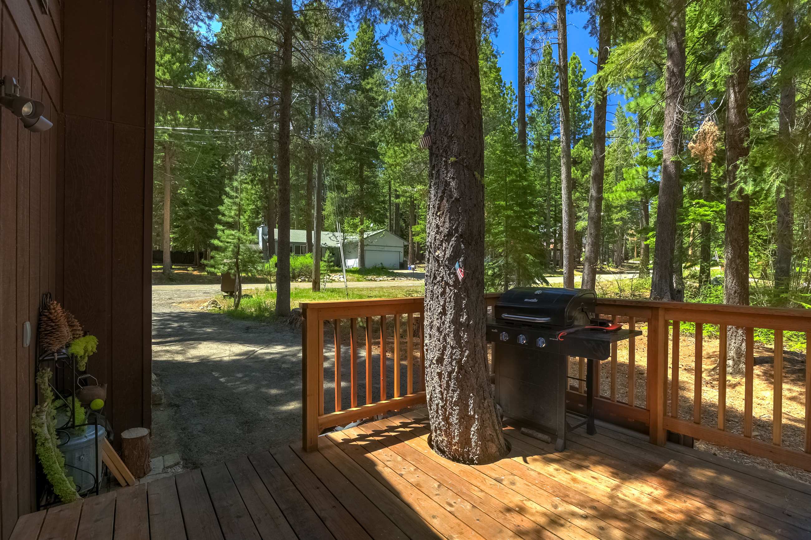 Backyard with gas BBQ