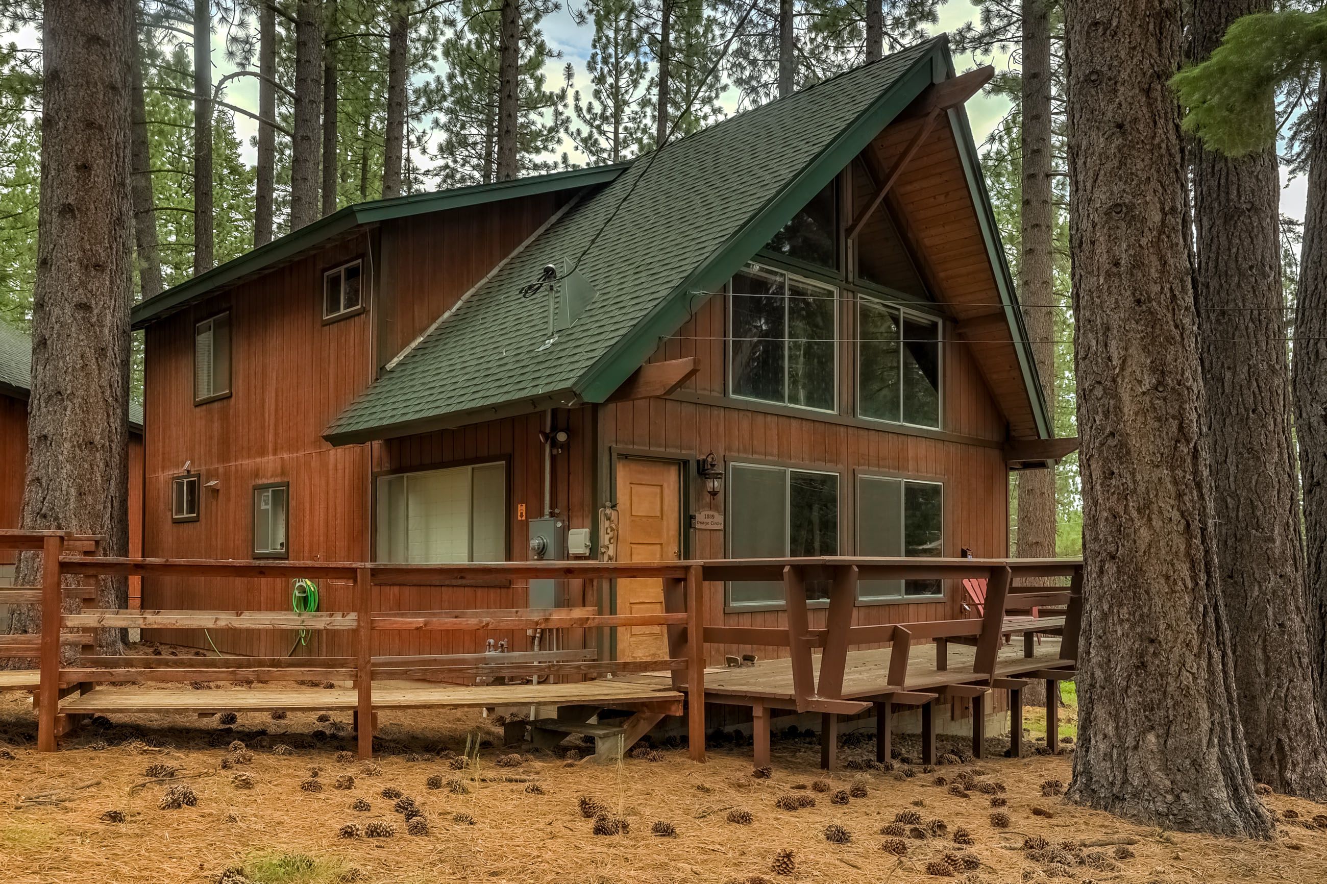 Featured Property Woodland Escape - Cute Little Cabin in the Woods!
