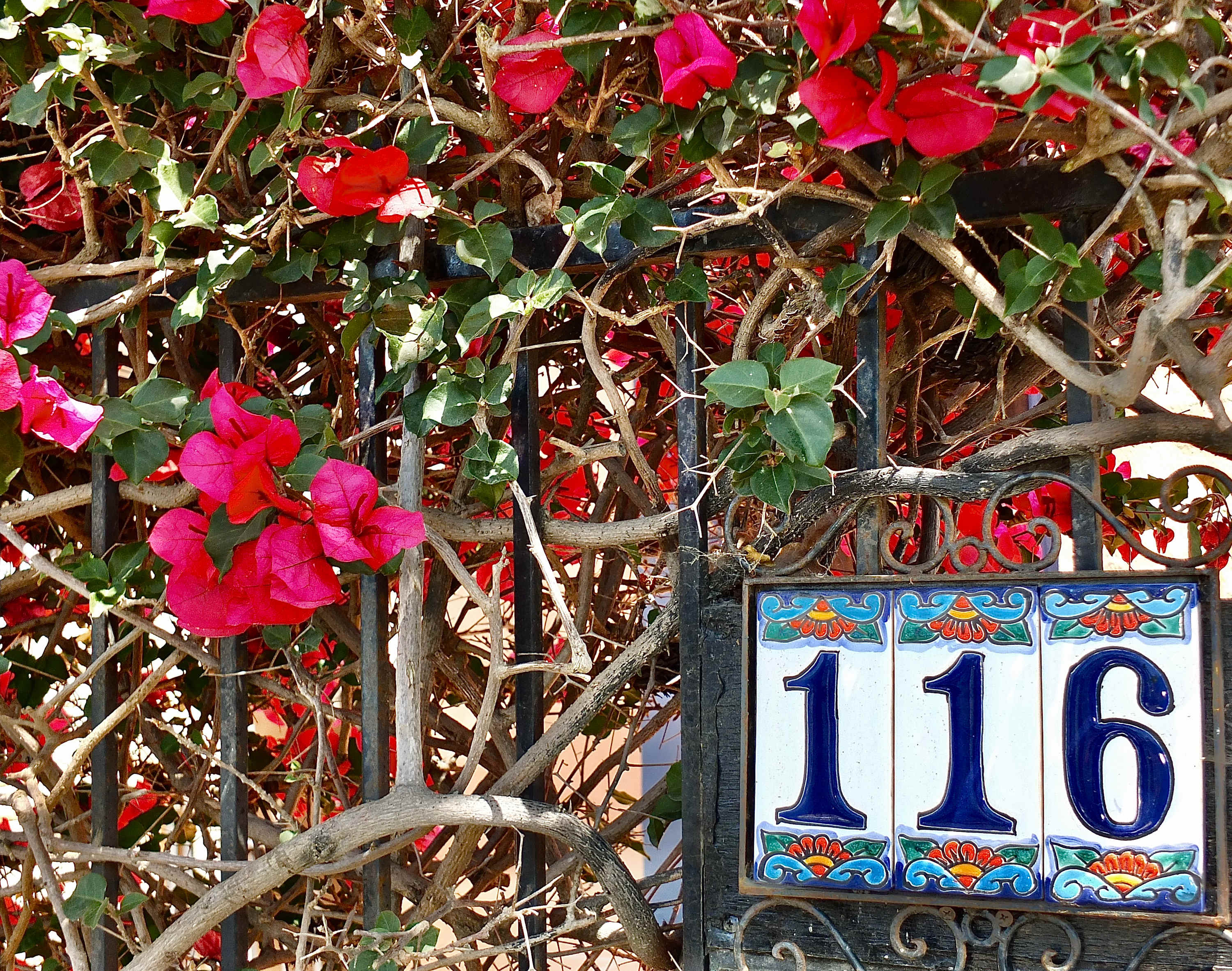 Enjoy your getaway relaxing by lush vining flowers in the front garden