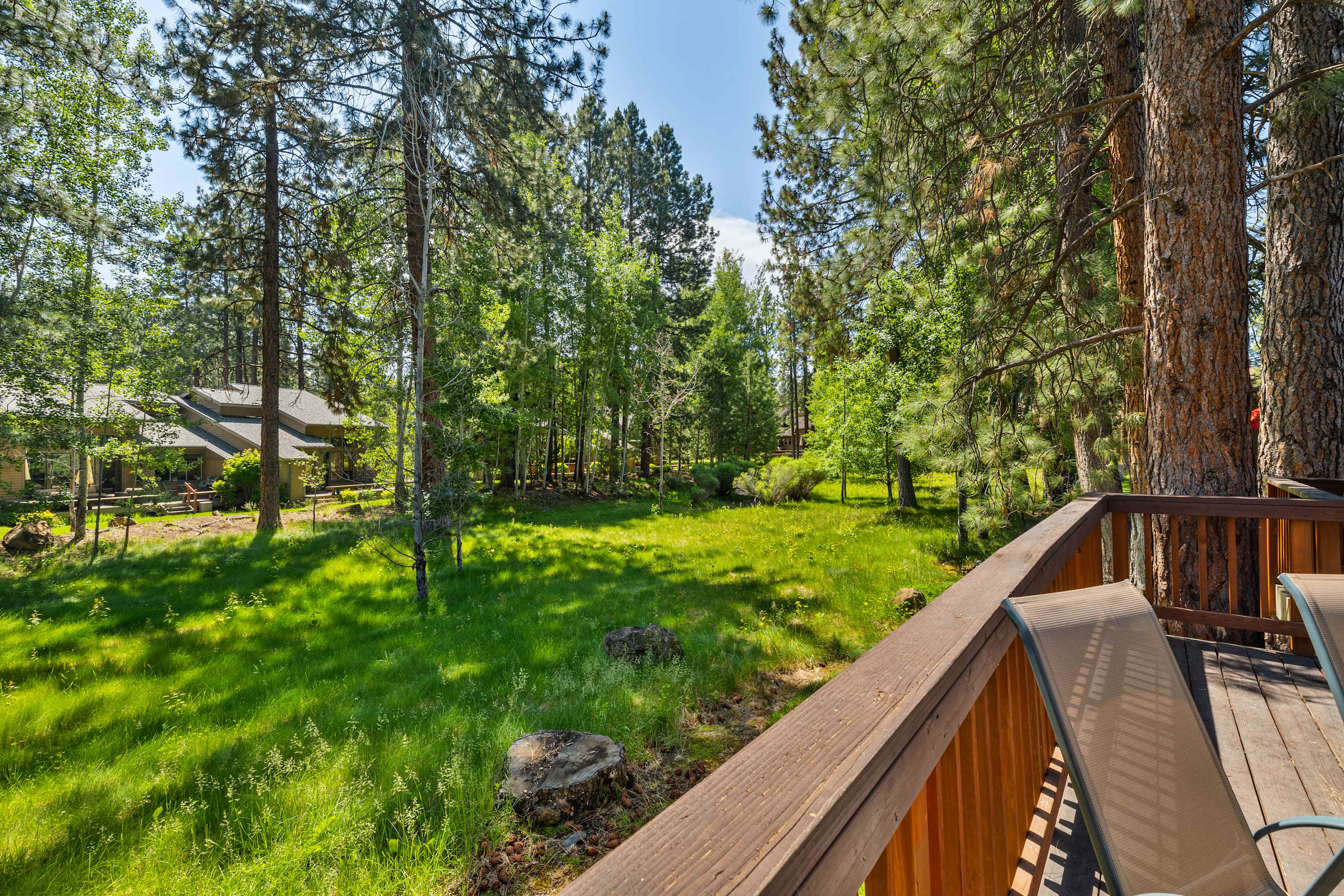 Views from the patio