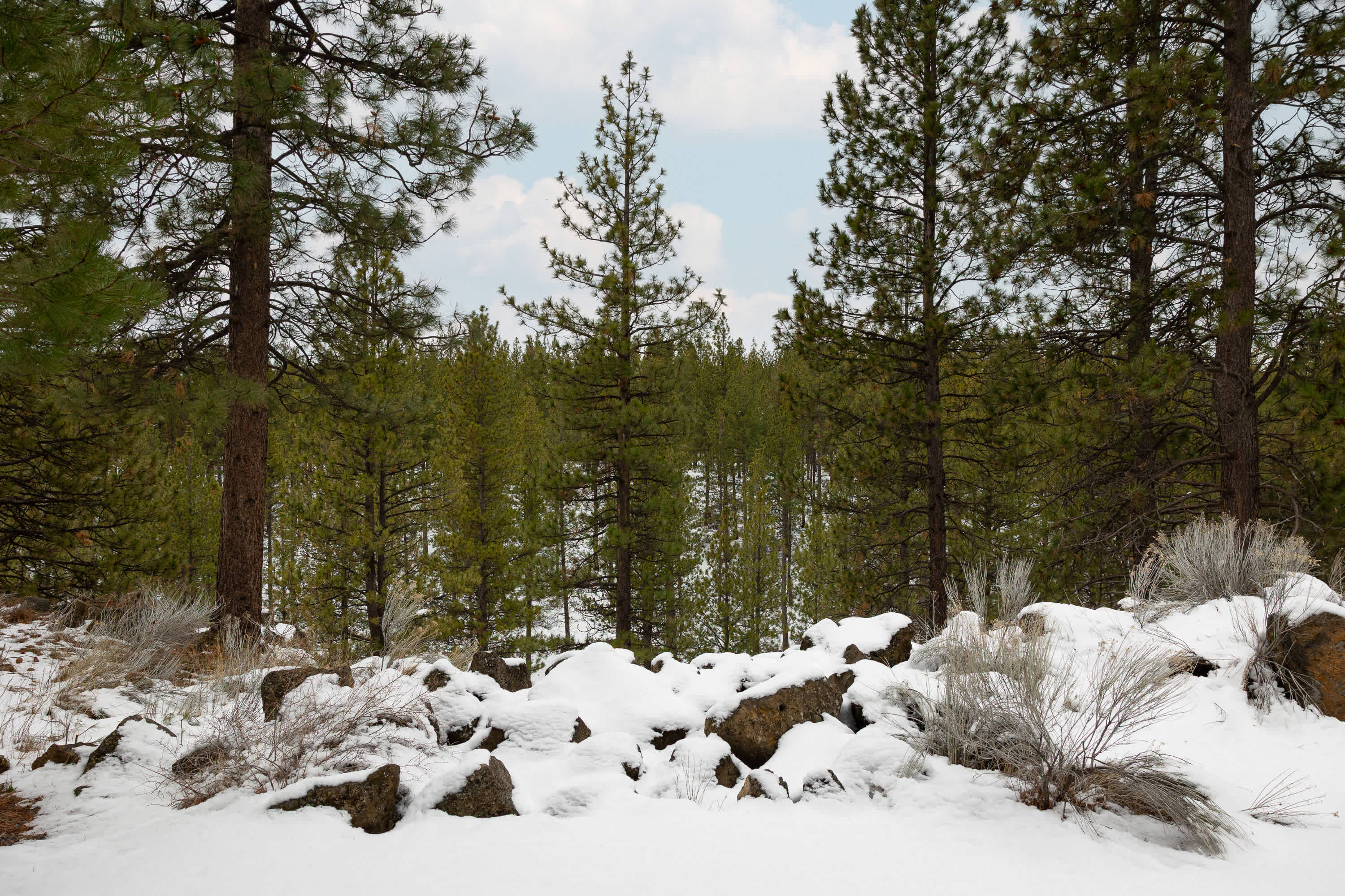 Sip morning coffee or an evening cocktail with nature views on the patio