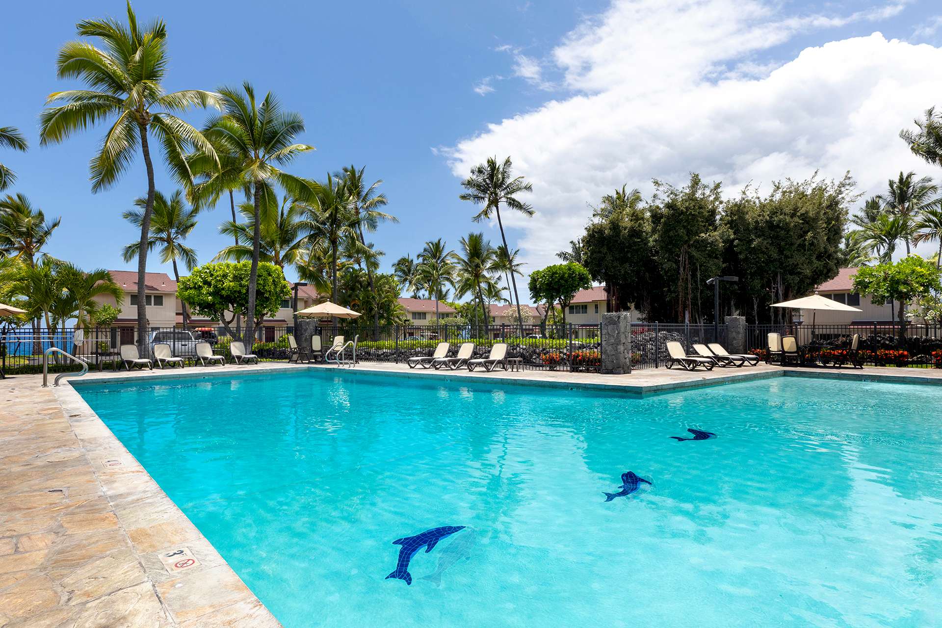 Surf & Racquet Club Pool