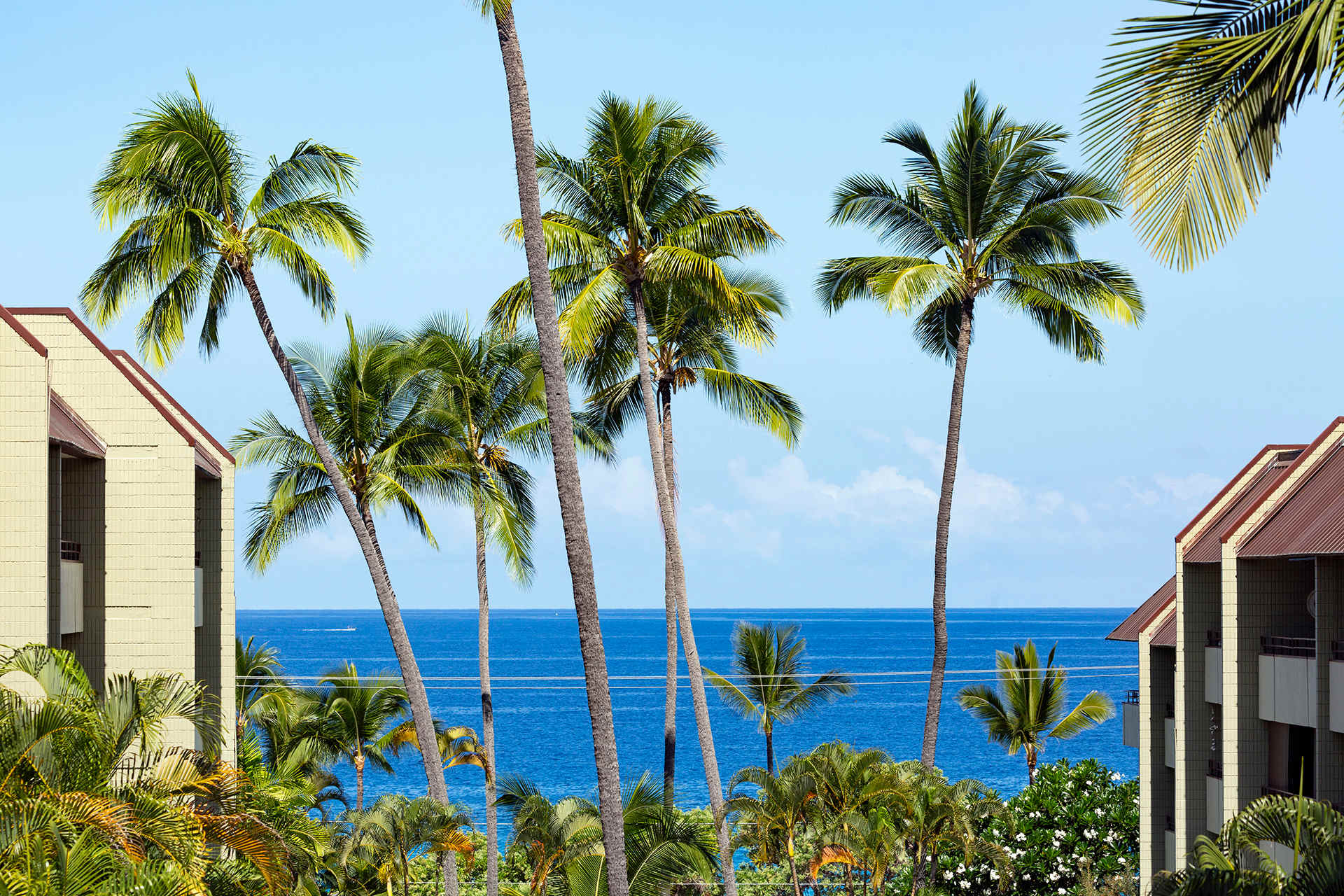 Just across the street from the waves!