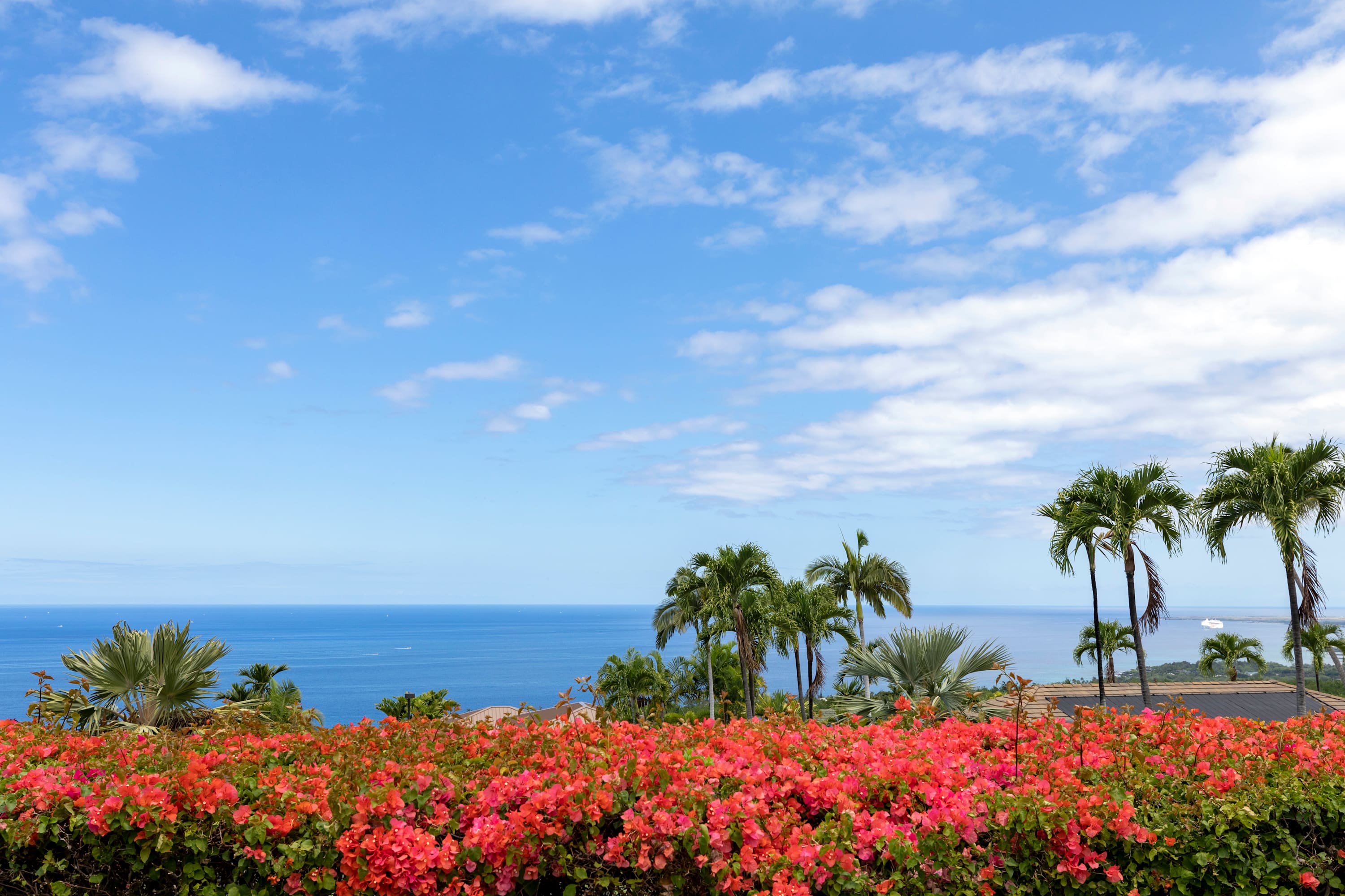 Hale Nene | Pool, Spa Tub & Ocean Views! 6