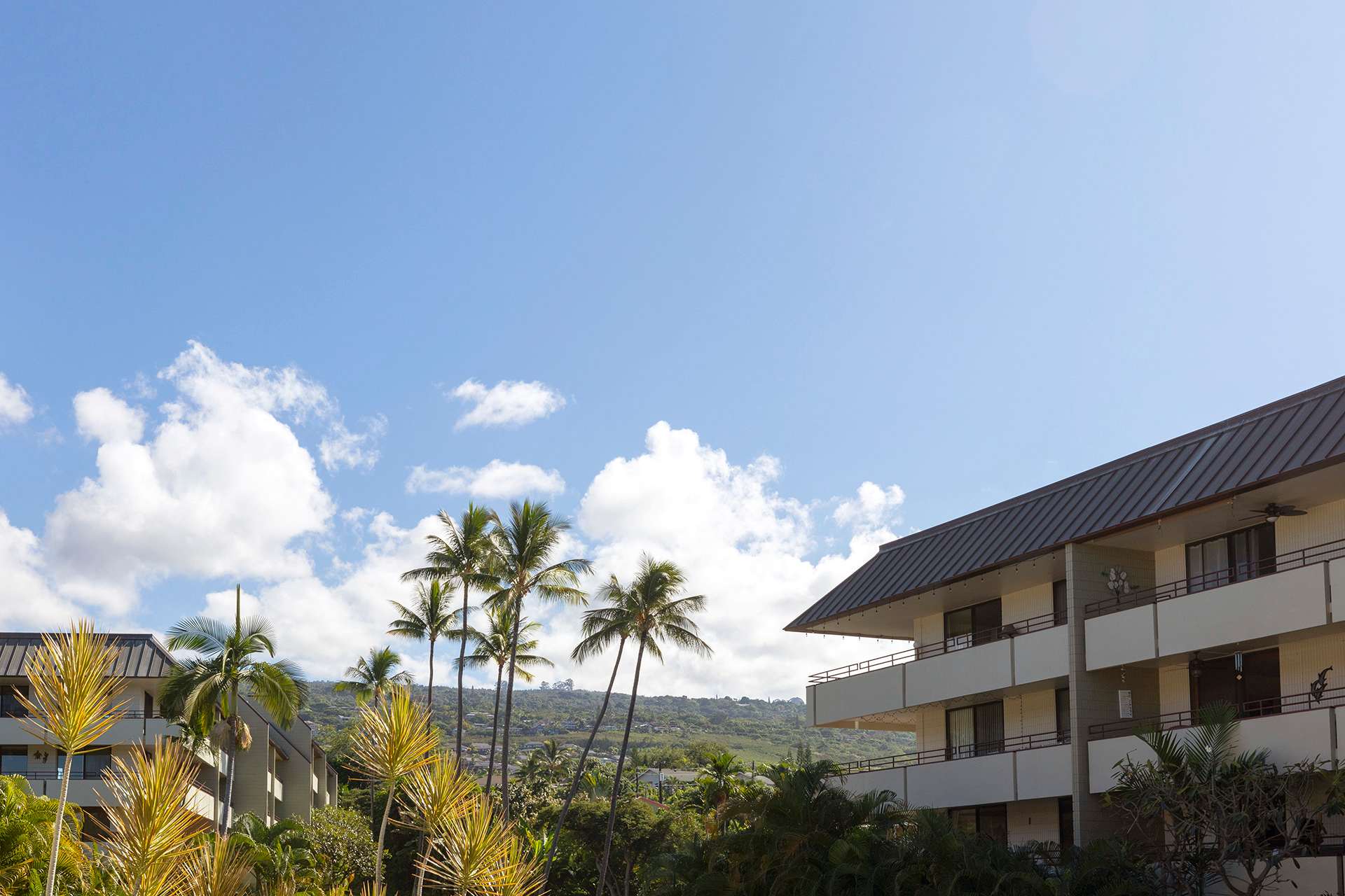 Honu Hale | Minutes away from the beach! 3