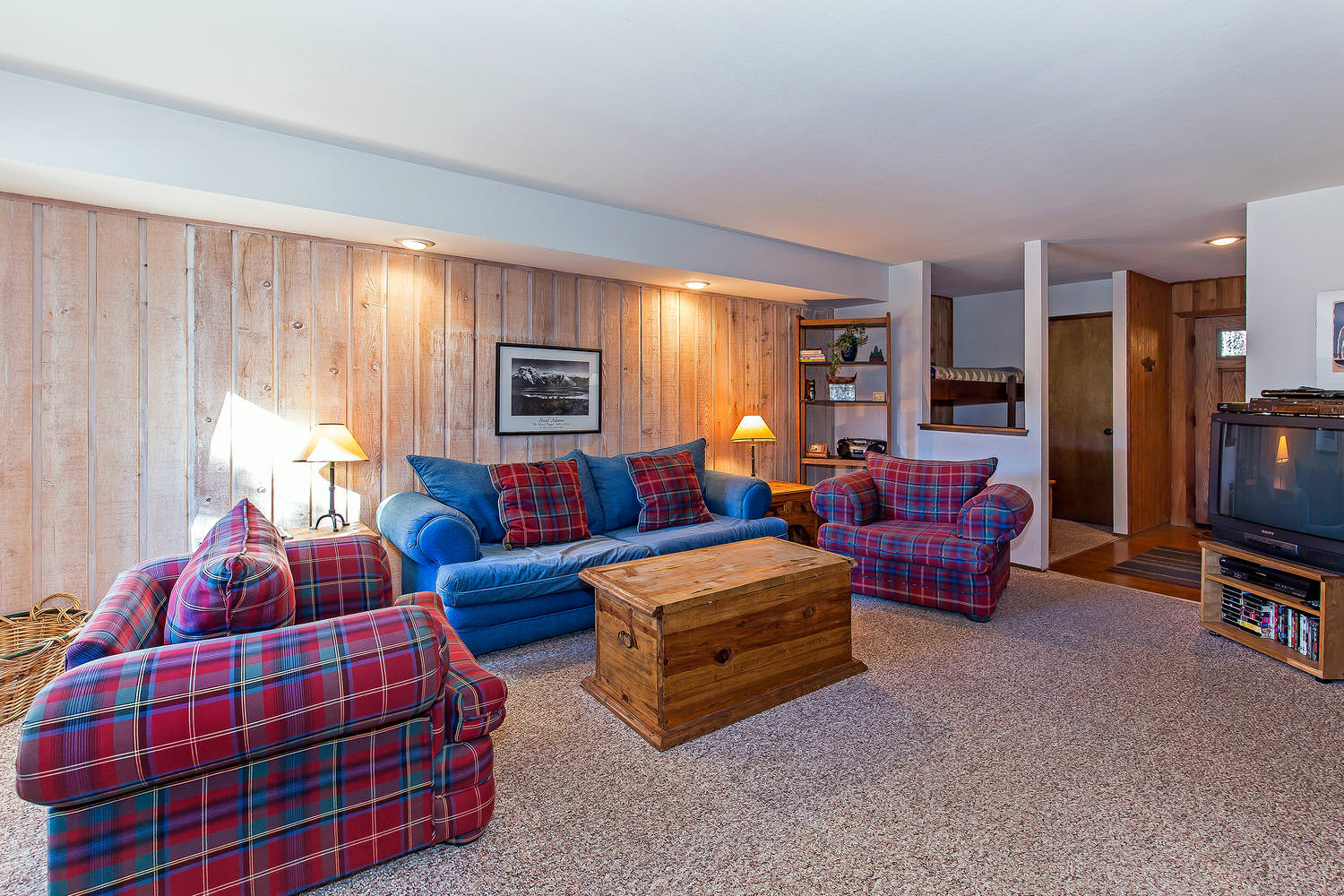 Cozy mountain living room