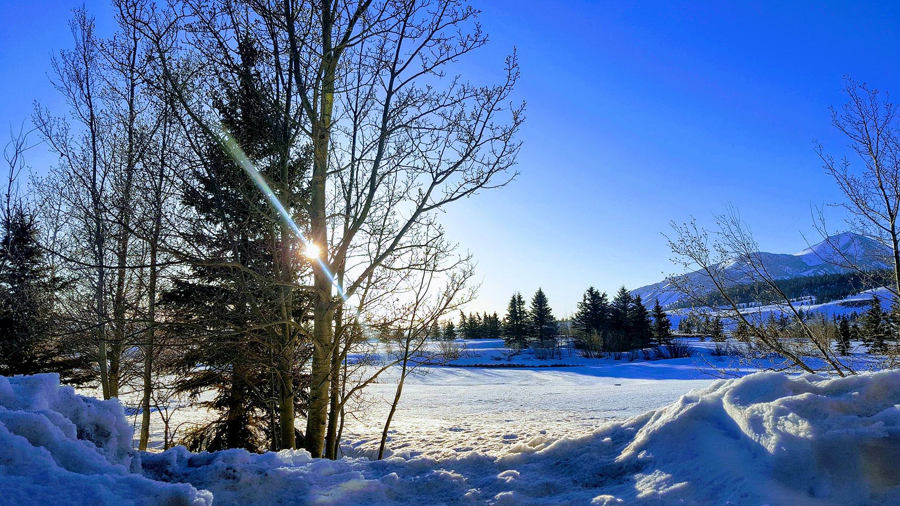 Winter View from Balcony