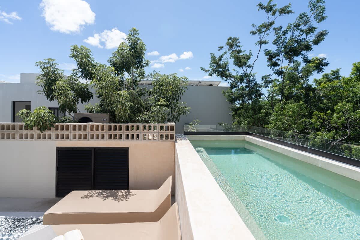 Private rooftop with plunge pool and sun loungers