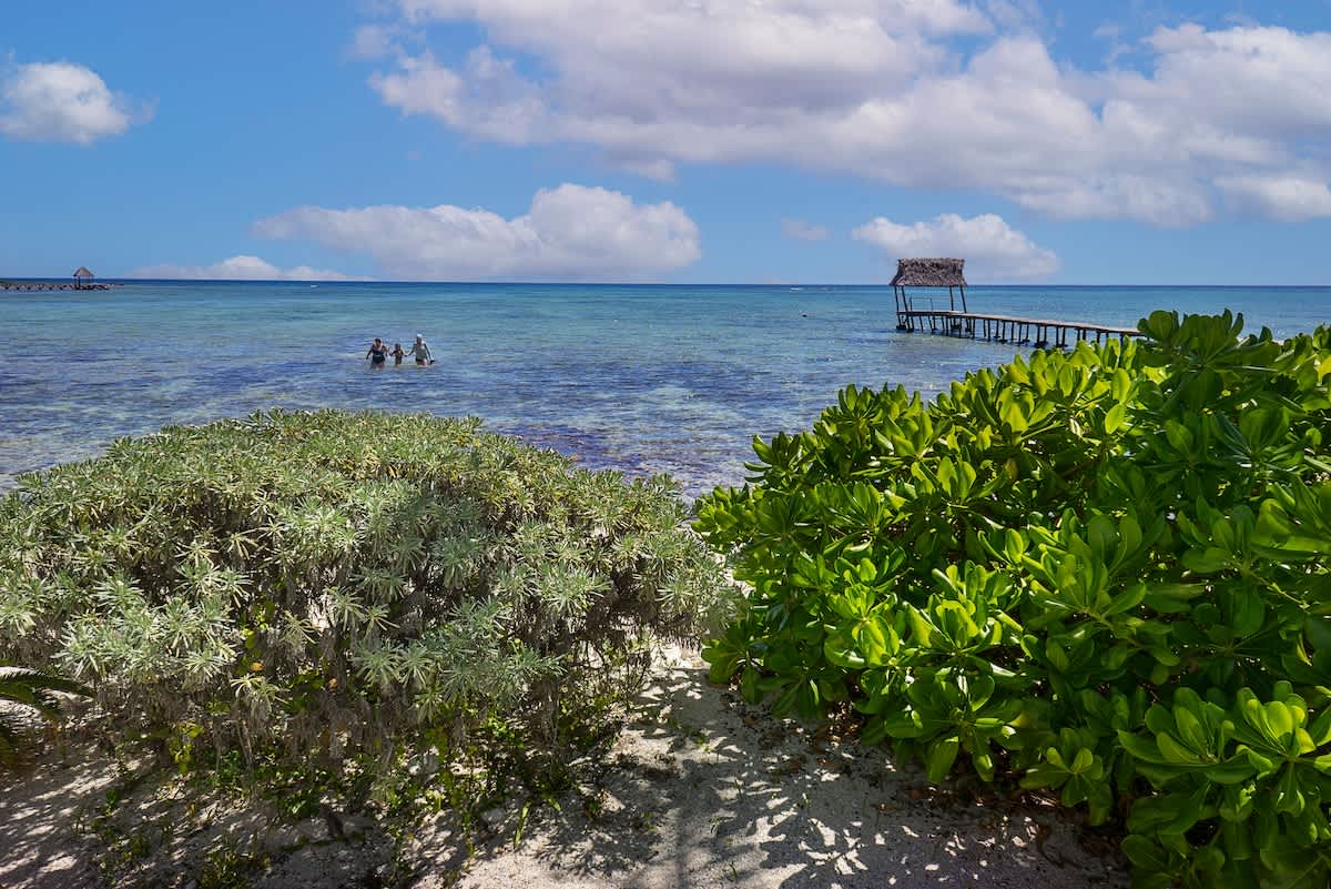 A view of the sea and lush vegetation, creating a peaceful and natural backdrop for complete relaxation.