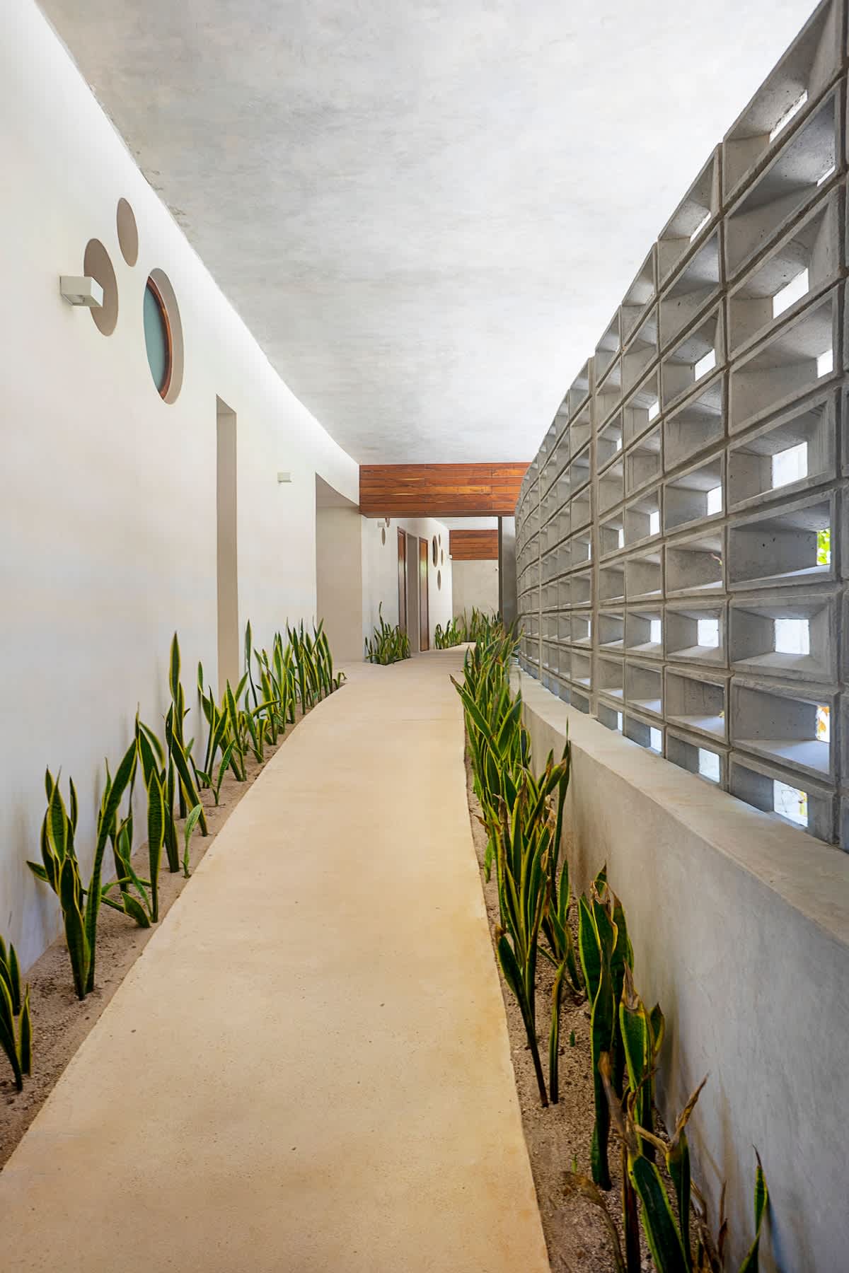 Hallway of the Antal complex