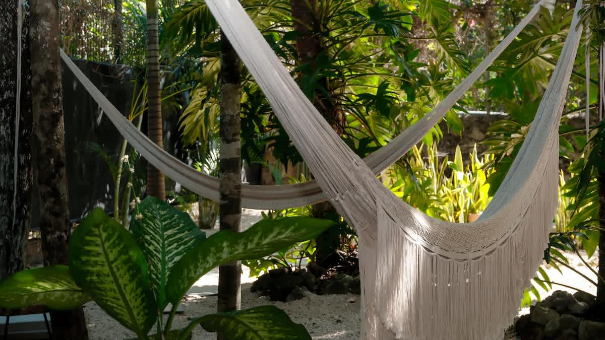 Relax in garden hammocks, perfect for slow mornings and peaceful afternoons