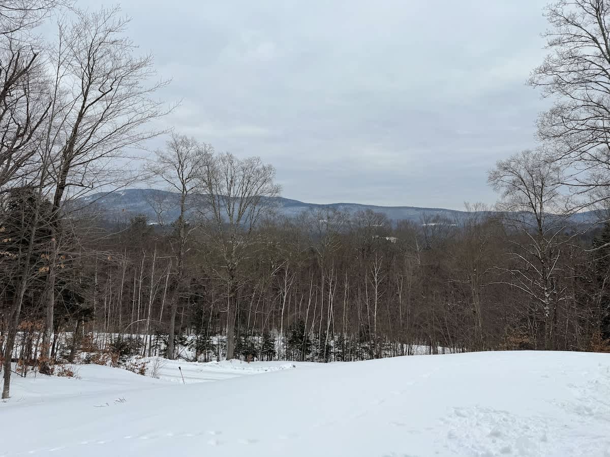 The Deerwood Tiny Home Mtn Views w Fireplace | Photo 18