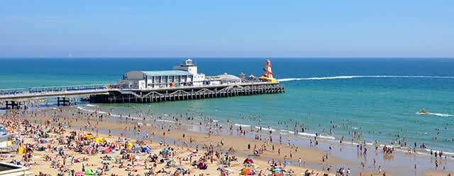 Fantastic GFF, Town Cntr, Close to Beach, FREE PKG - Photo 11