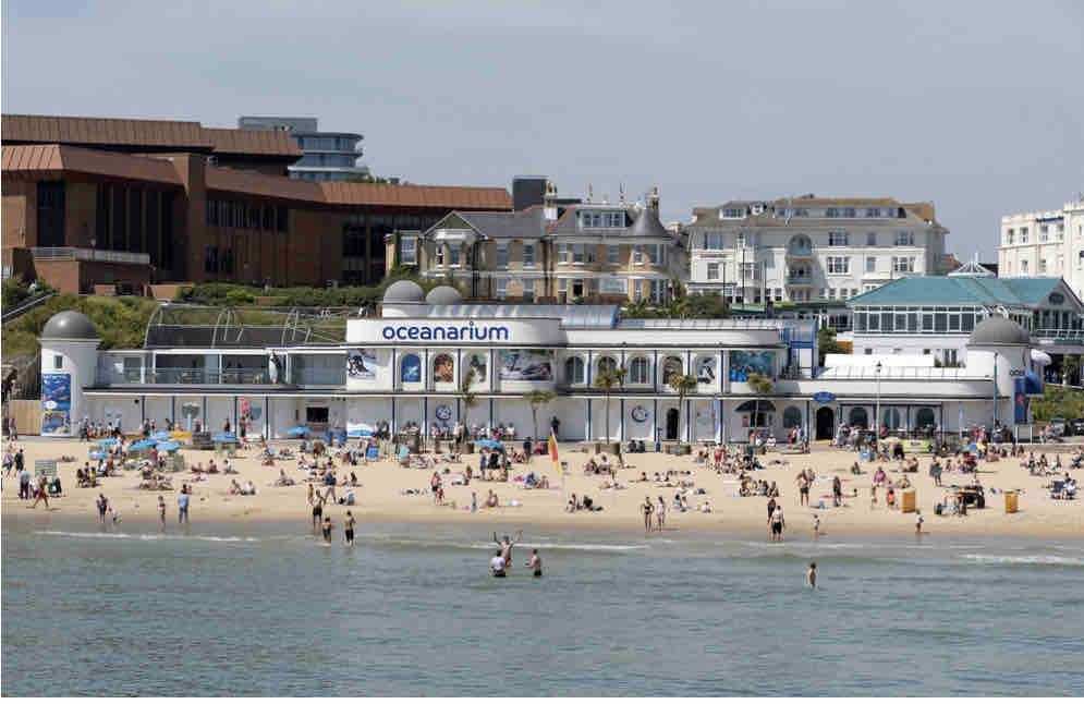 Beautiful 2-bed 2-bath, Walk 2 Beach, Free Parking