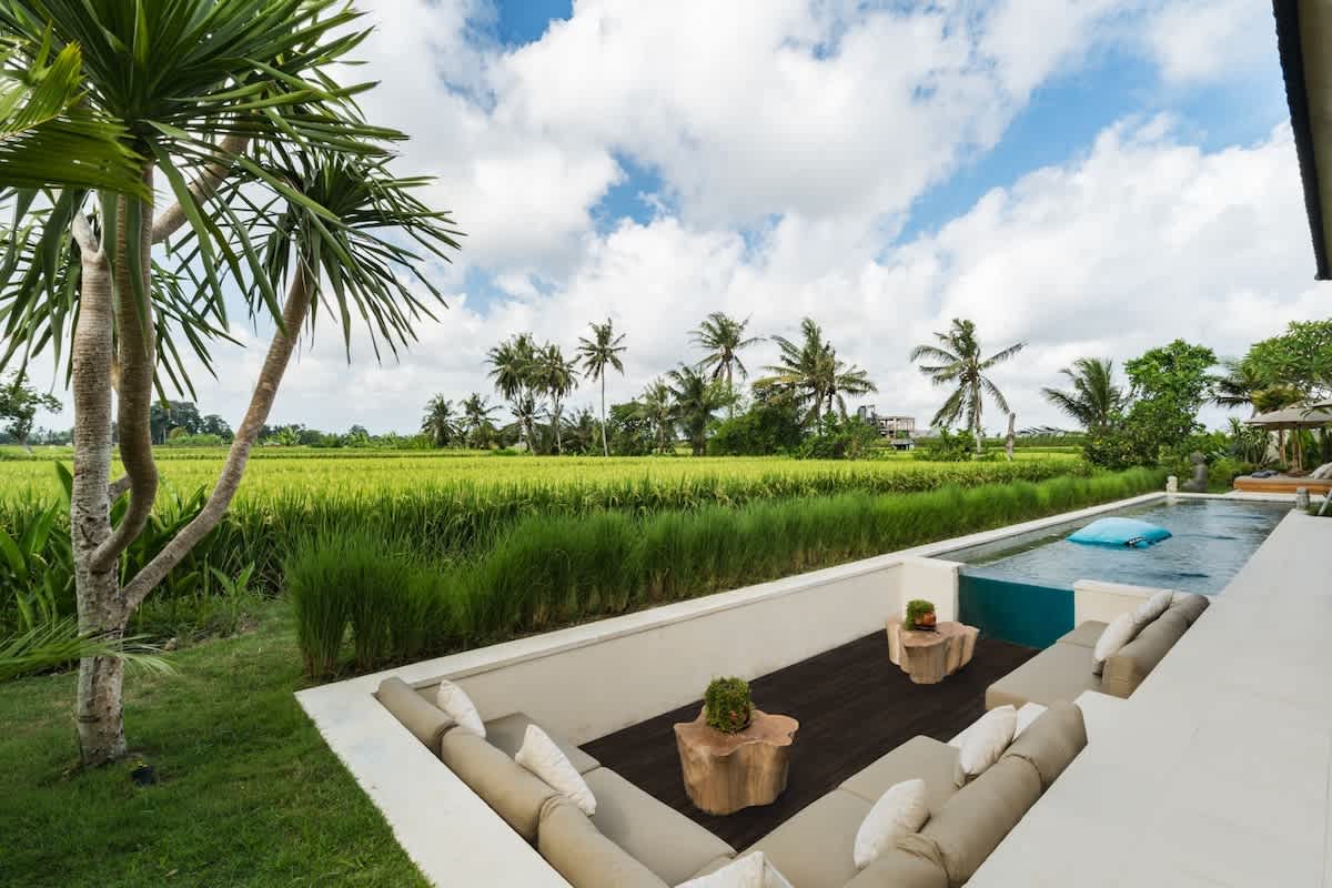 Image 22