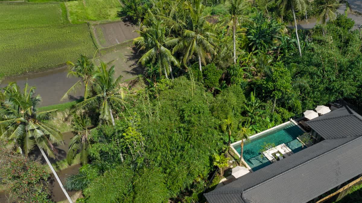 View 8