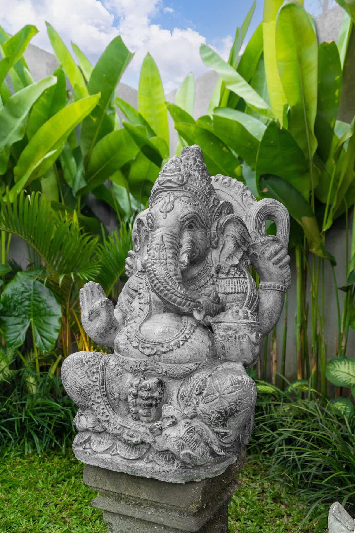Image 21