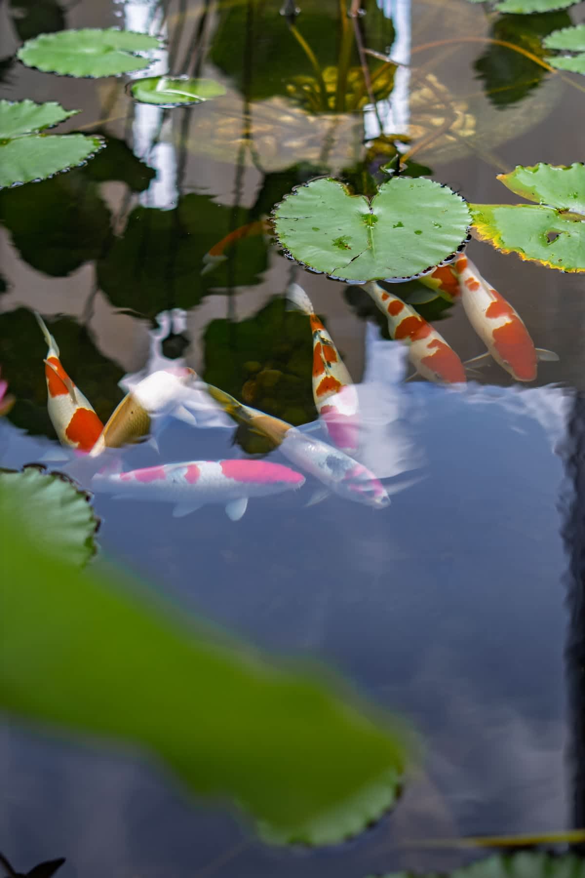 Image 14