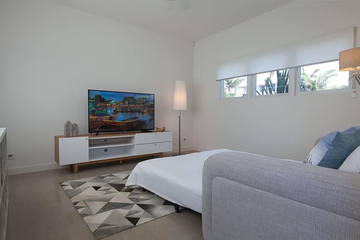 Media room with sofa bed