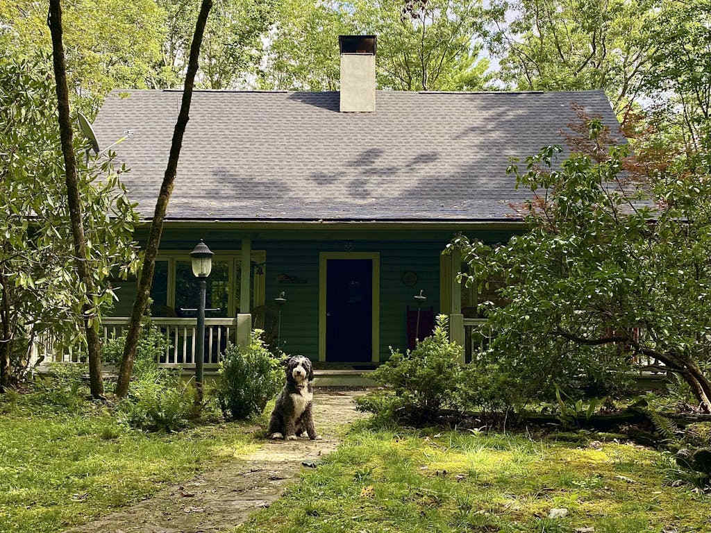 Laurel Cabin