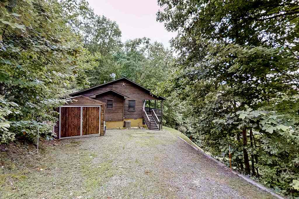 Black Bear Den 