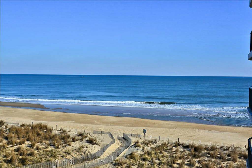 Summer Beach 504