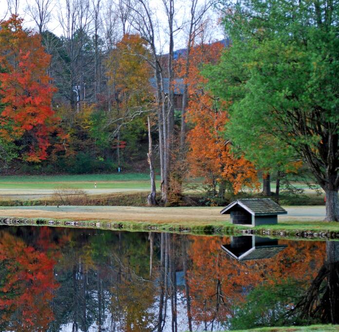 Golf surrounded by nature—Cobbly Nob’s course is a guest favorite.