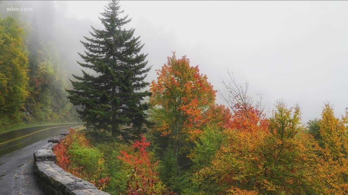 Scenic Retreat: Immerse yourself in vibrant autumn colors amidst the misty mountains!