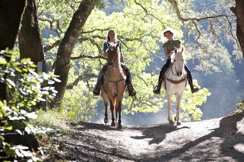 Horseback riding through scenic mountain trails for a true Smoky experience.