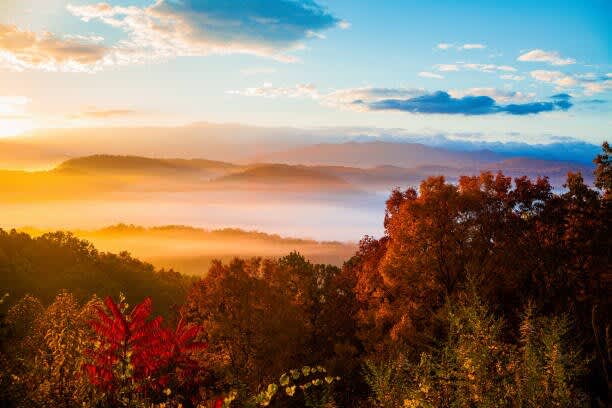 Enjoy some great scenery and fantastic drives through the mountains during the fall! Note, this is not a picture of the view from the house but in the Smoky Mountains
